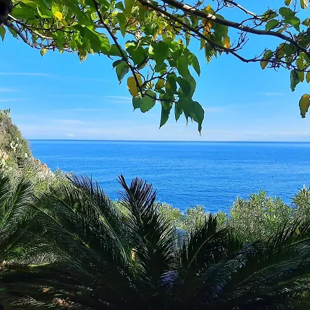 Kalura C Cefalu